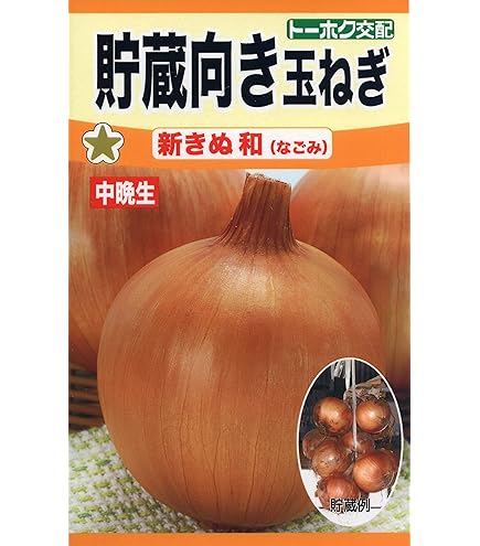 Amazon.co.jp: タマネギ 種子 ターボ 玉ねぎ (5.5ml) : DIY
